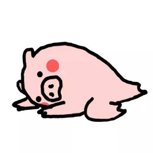 系统管理员