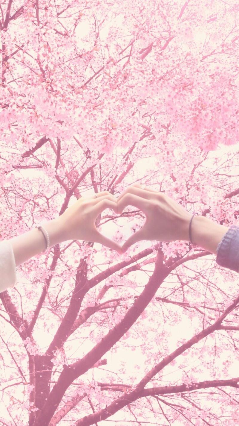 ヽ笑若葵花向日倾つ