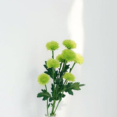 系统管理员