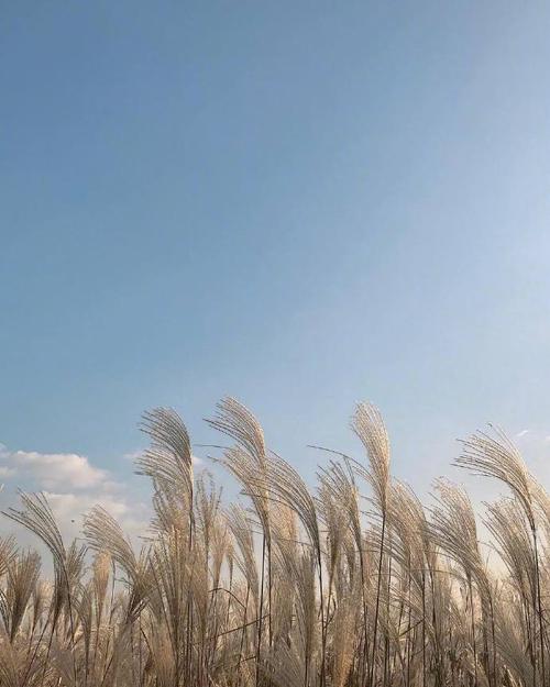 系统管理员