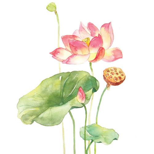 搜狗搜出一条狗