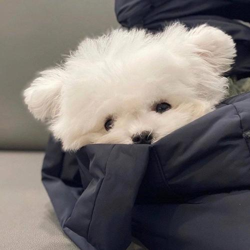追风逐光