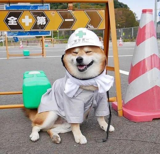 系统管理员